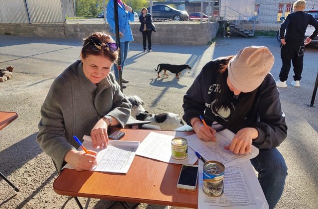 Ставропольцы собирают подписи против убийства беспризорных животных
