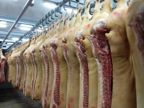 Тамбовских производителей мяса поймали на искажении сведений о сроке годности свиных ног