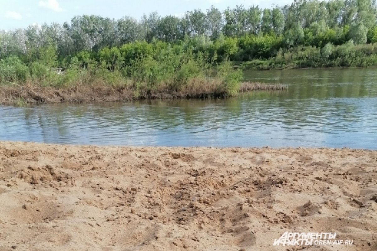 На шести пляжах Орловской области введён запрет на купание