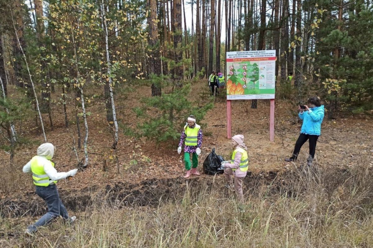 Моршанские «Друзья леса» из Тамбовской области участвуют в марафоне «Служение»