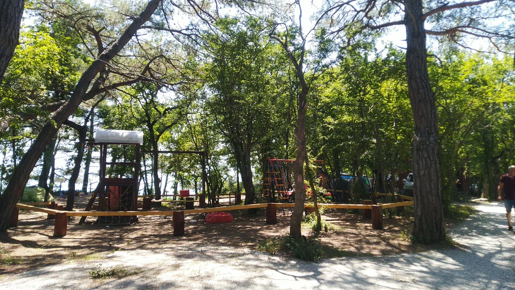 В Краснодарском крае суд «выселил» автокемпинг с земель лесного фонда в Геленджике