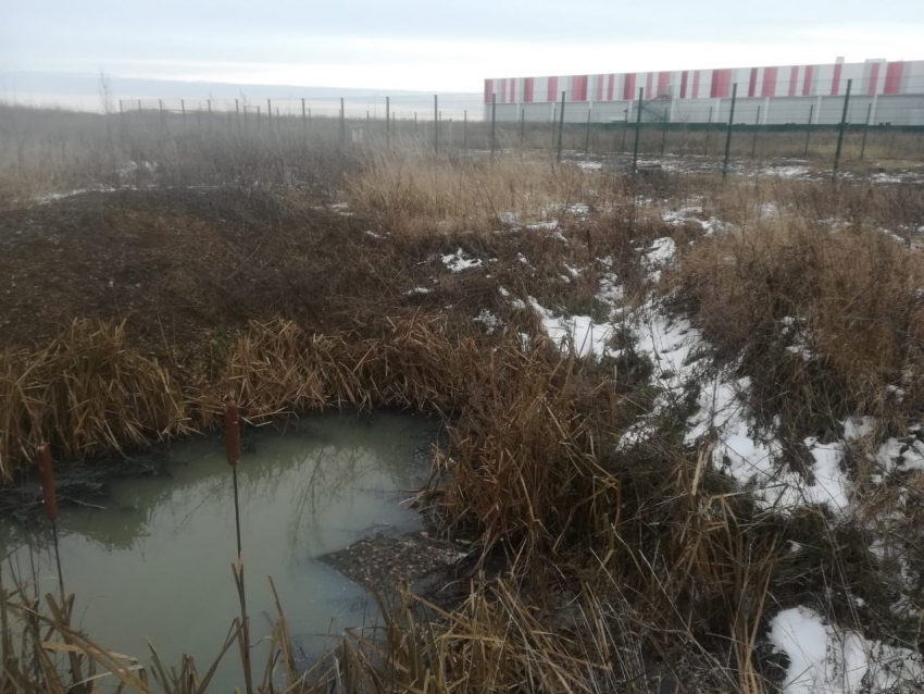 Жидкие отходы французского «Филье Проперти» достигают прудов в посёлке Стрельцы Тамбовской области
