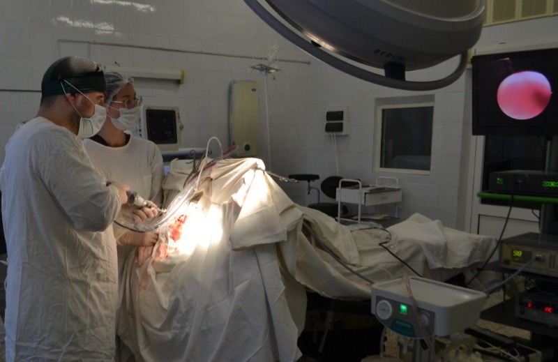 В Тамбове успешно провели эндоскопическую операцию по удалению гематомы после инсульта новым методом