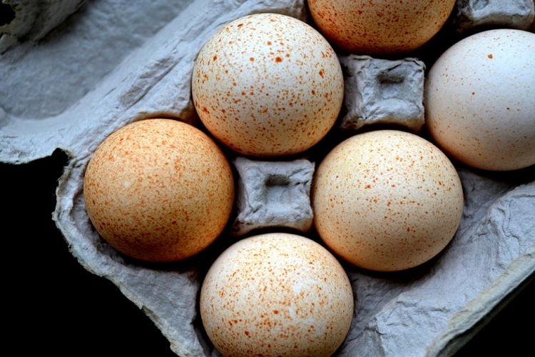 Губернатор Орловской области считает, что цены на яйца выросли по вине предпринимателей 