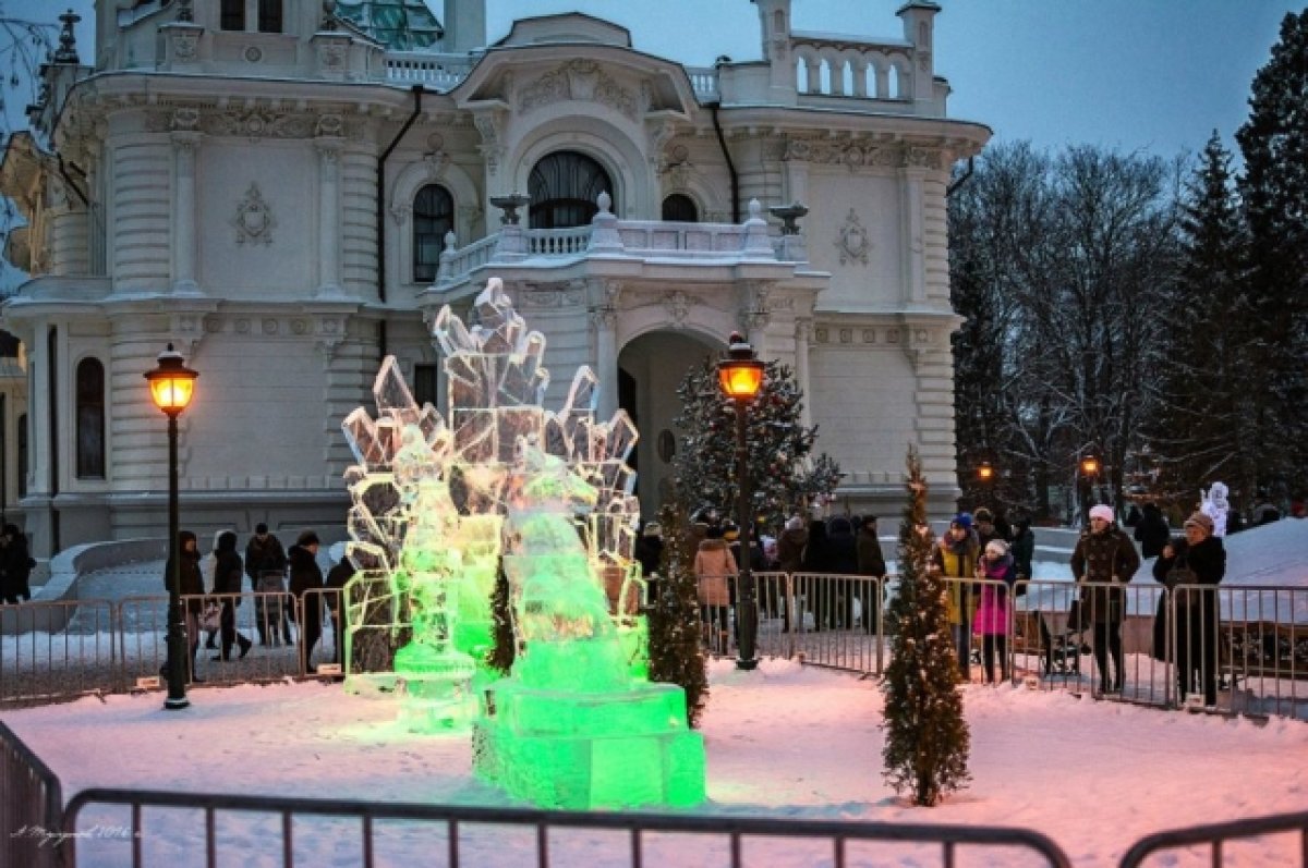 Выставка ледяных фигур в Тамбовской усадьбе Асеева в этом году изменит формат