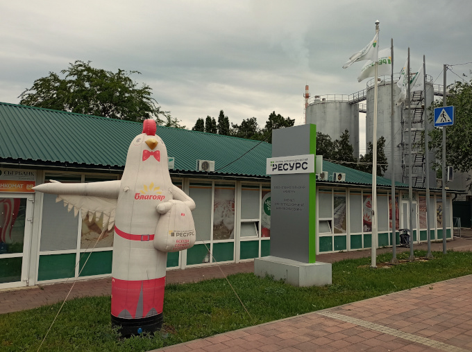 «Ставропольский бройлер» снова уличили в использовании препаратов для увеличения массы птицы
