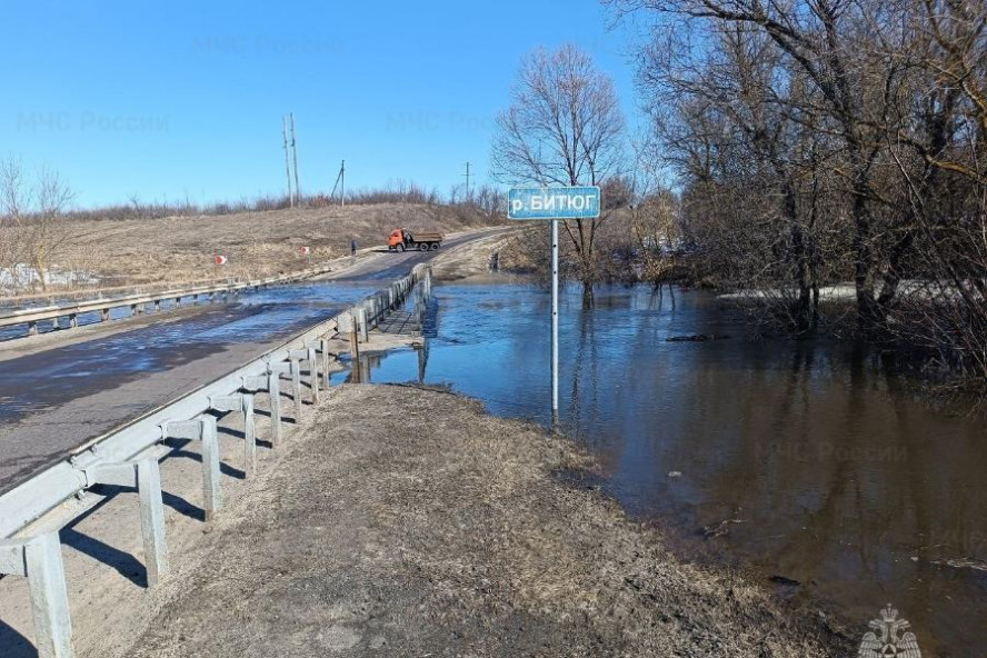 В Тамбовской области уровень воды в реках продолжает повышаться