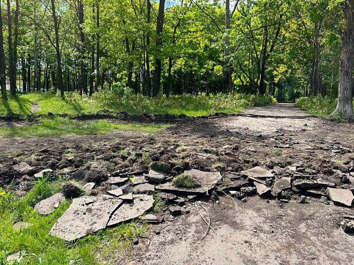 Самовольно перекопанные дорожки в парке Липецка могли стать причиной гибели велосипедиста