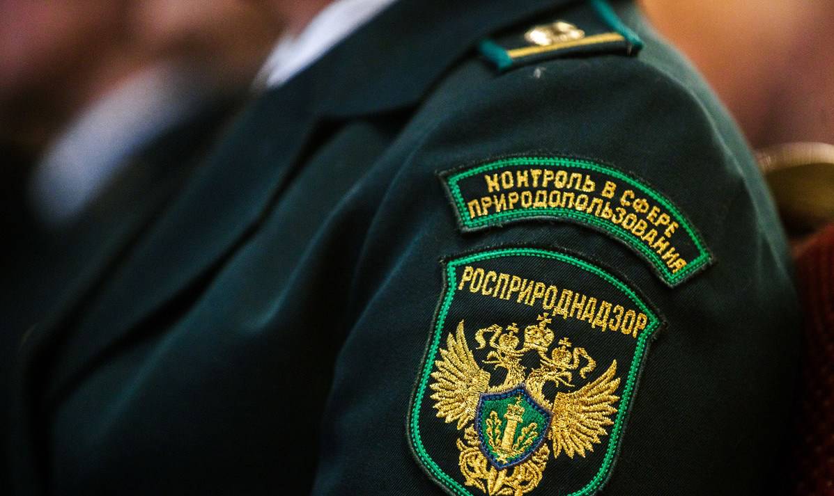 Очистные сооружения в Белгороде снова нарушили экологические нормы — Росприроднадзор возбудил дело