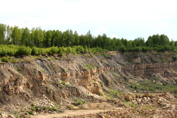 В Калужской области проводили разработку Борщёвского месторождения с нарушениями законодательства
